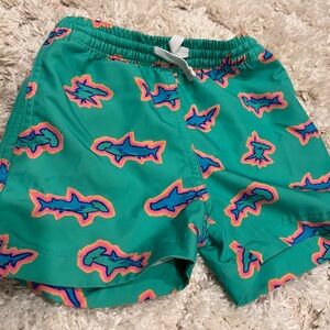 Chubbies Kids Swim Trunks - Green with Blue and Pink Sharks